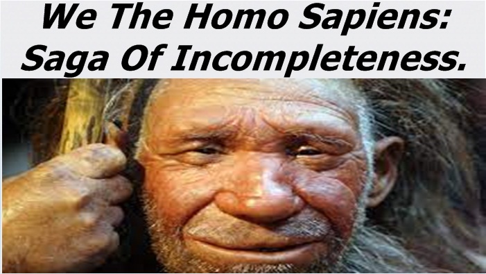 The Homo Sapiens