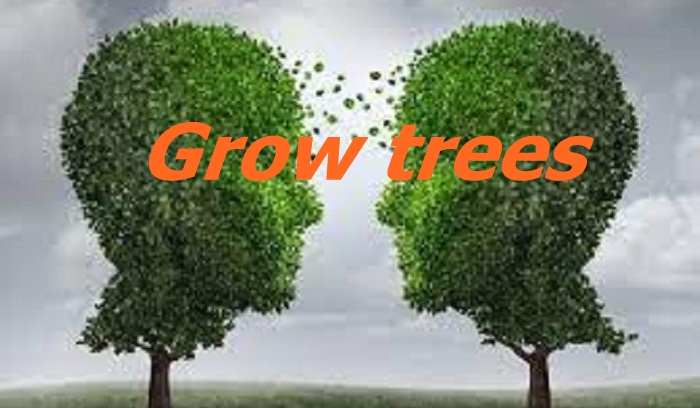 Grow trees