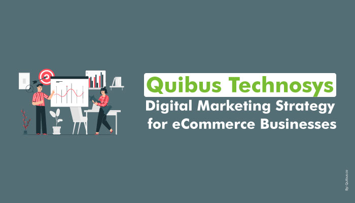 Quibus technosys digital marketing for ecommerce