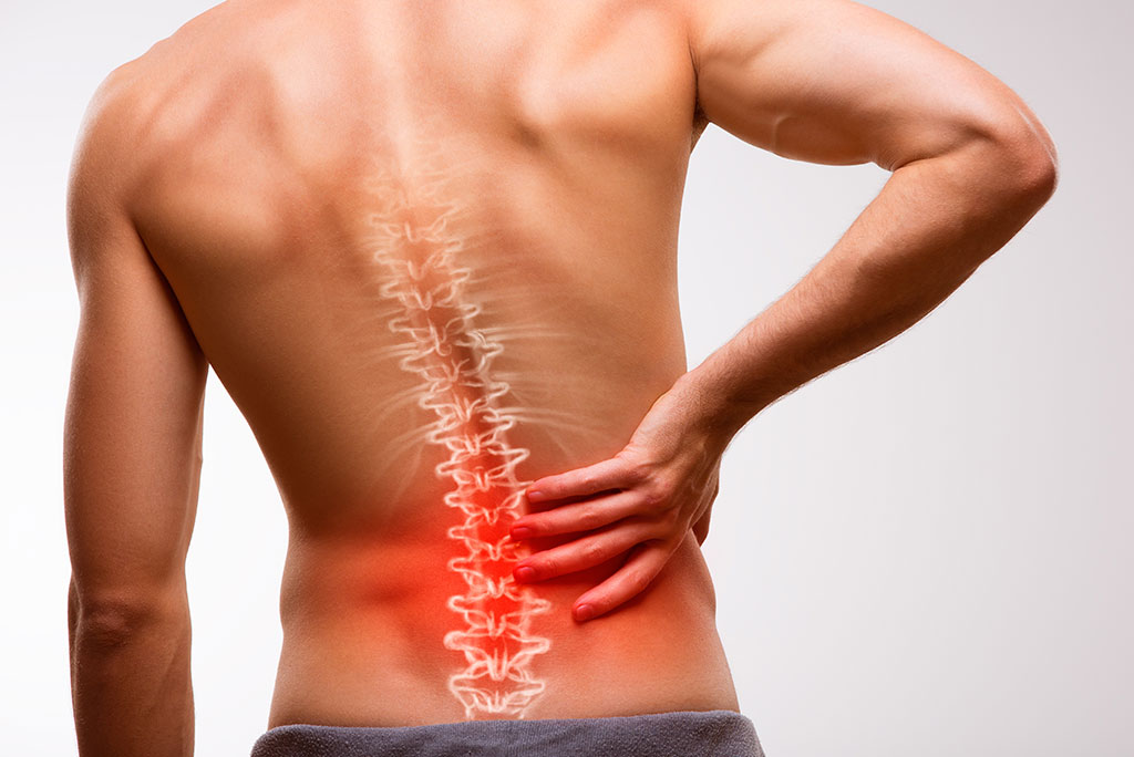 back pain doctor or chiropractor
