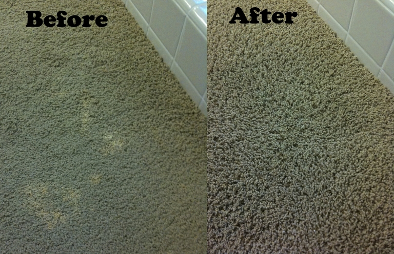 Maryland carpet bleach spot