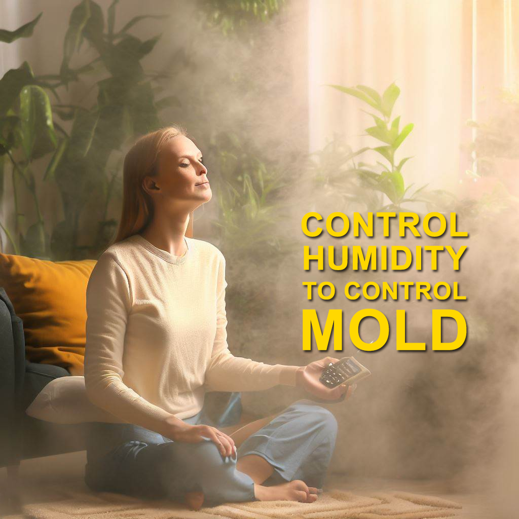 Control humidity to remove mold in home