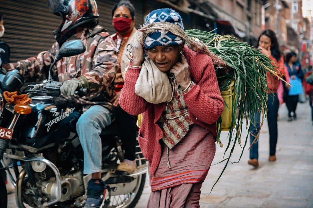poor hindu woman carrying bundle of grass on city street