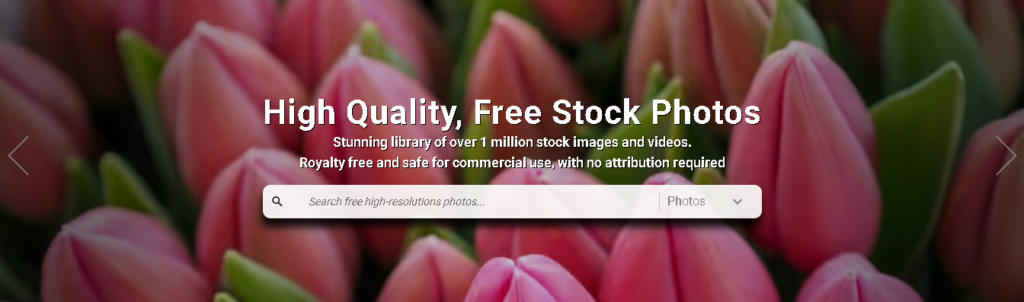 PikWizard Free Stock Photo Search